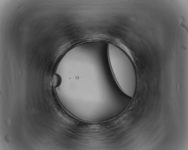 X0000097790059200803070944