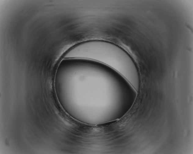 X0000097790060200803070944