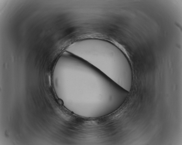 X0000097790061200803070944