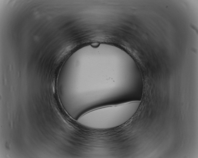 X0000097790062200803070944