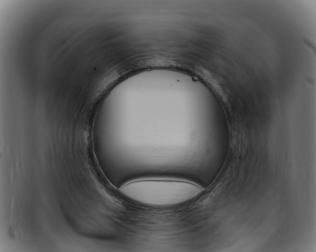 X0000097790063200803070944