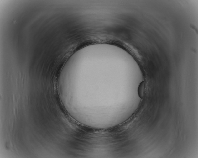 X0000097790065200803070945