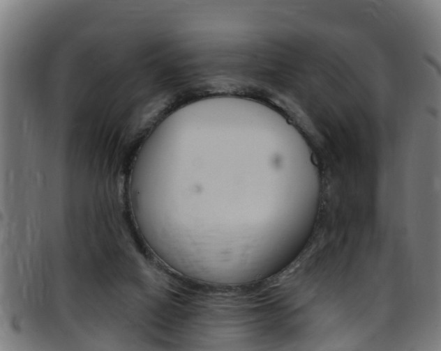 X0000097790066200803070945