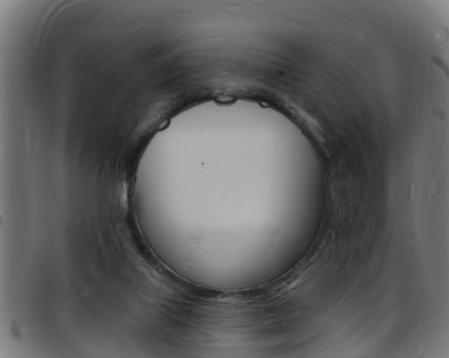 X0000097790067200803070945