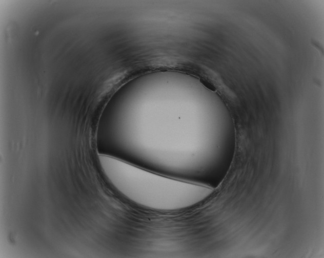 X0000097790068200803070945