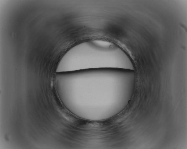 X0000097790069200803070945