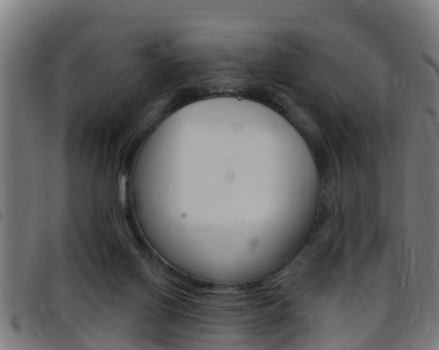 X0000097790070200803070945