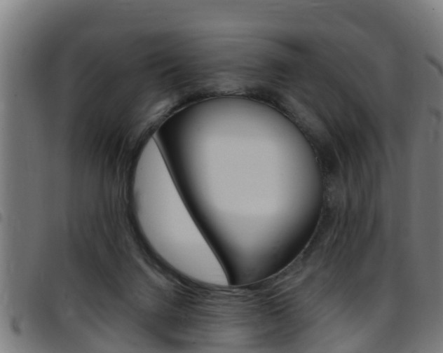 X0000097790072200803070945