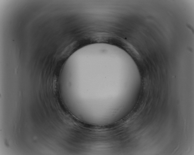 X0000097790073200803070945