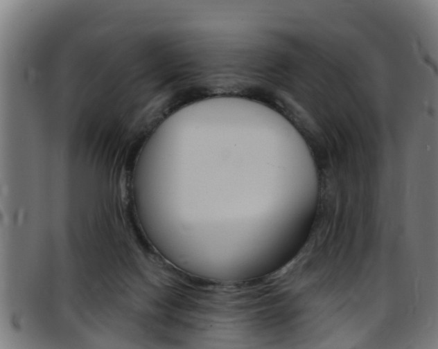 X0000097790074200803070945