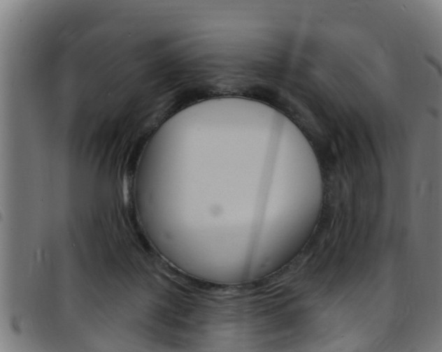 X0000097790075200803070945