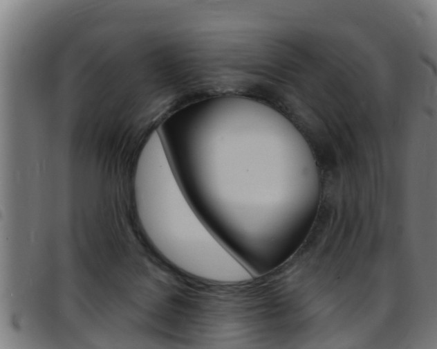 X0000097790076200803070945