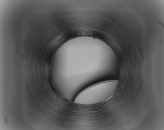 X0000097790078200803070945