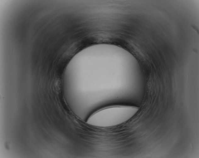 X0000097790079200803070945