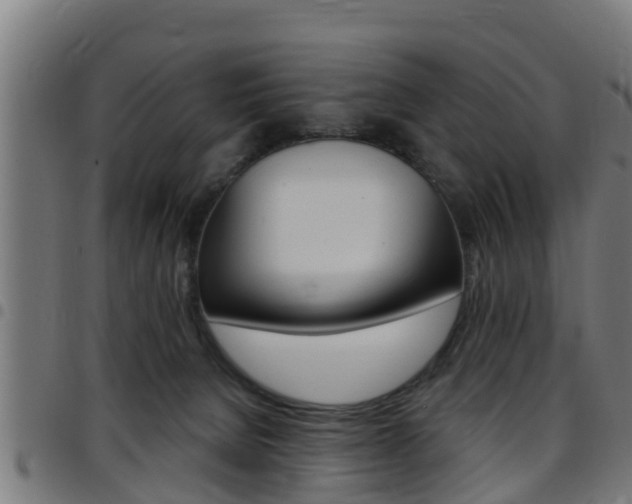 X0000097790080200803070945