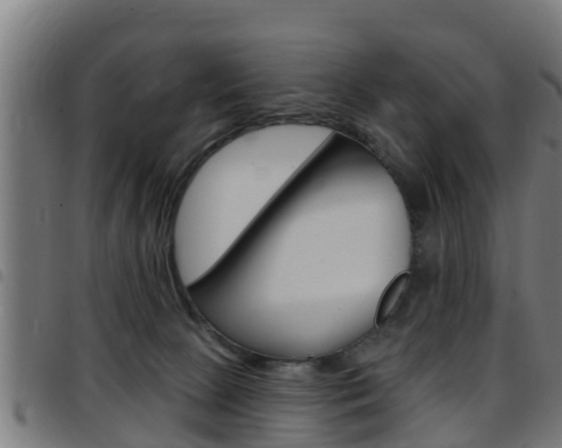 X0000097790081200803070945