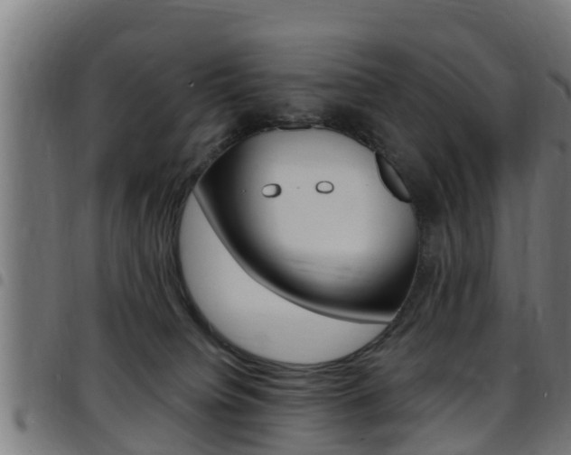 X0000097790084200803070945