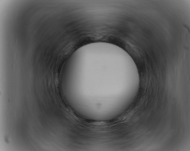 X0000097790085200803070945