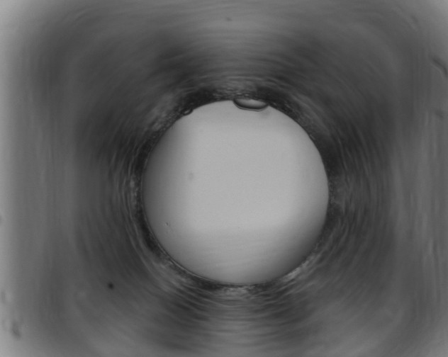 X0000097790086200803070945