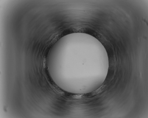 X0000097790090200803070945