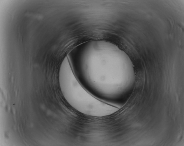X0000097790092200803070945
