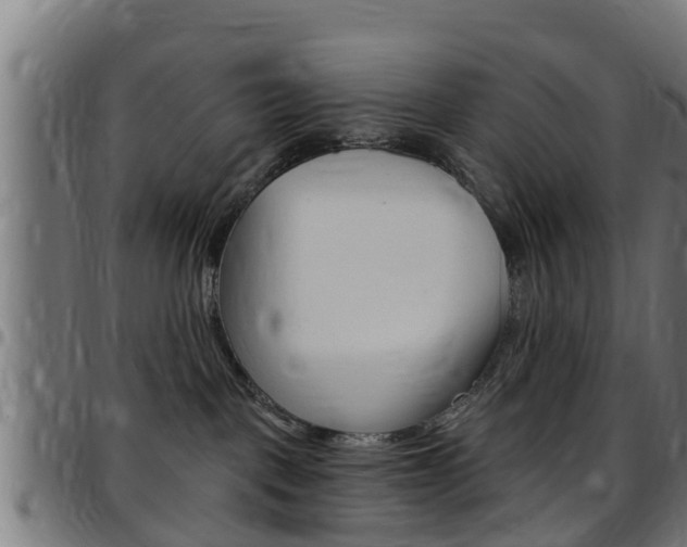 X0000097790093200803070945