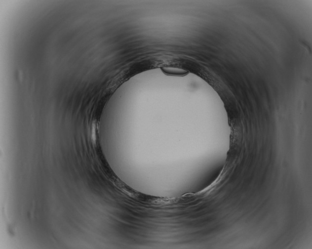 X0000097790094200803070945