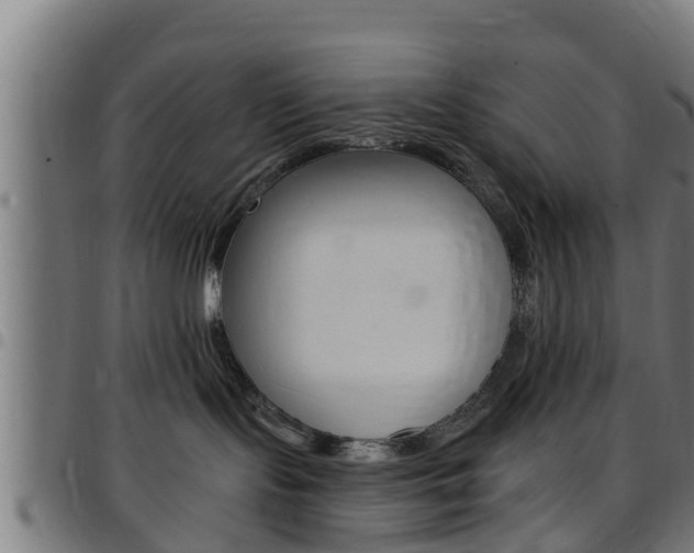 X0000097790095200803070945