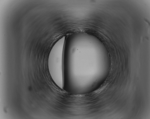 X0000097790096200803070945