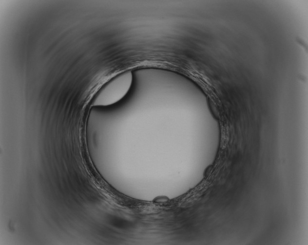 X0000097790098200803070944