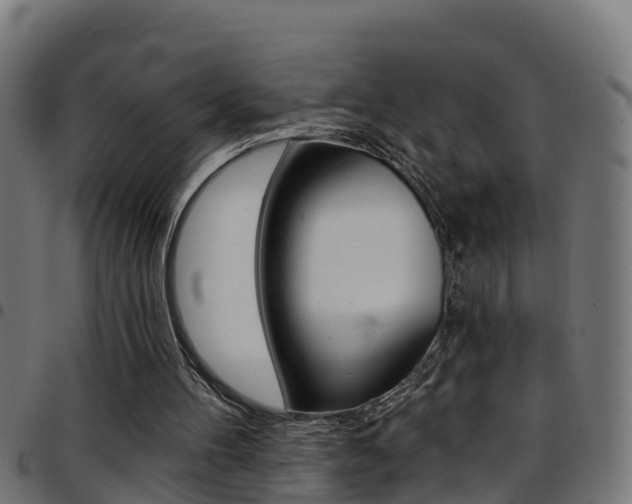 X0000097790100200803070944