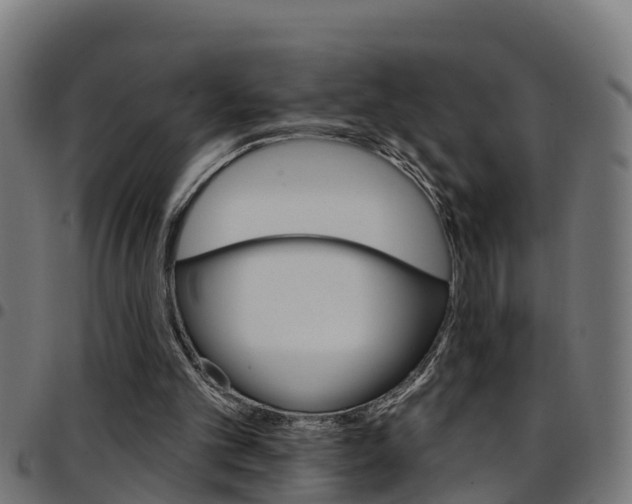 X0000097790101200803070944