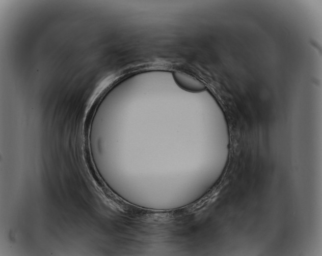 X0000097790102200803070944