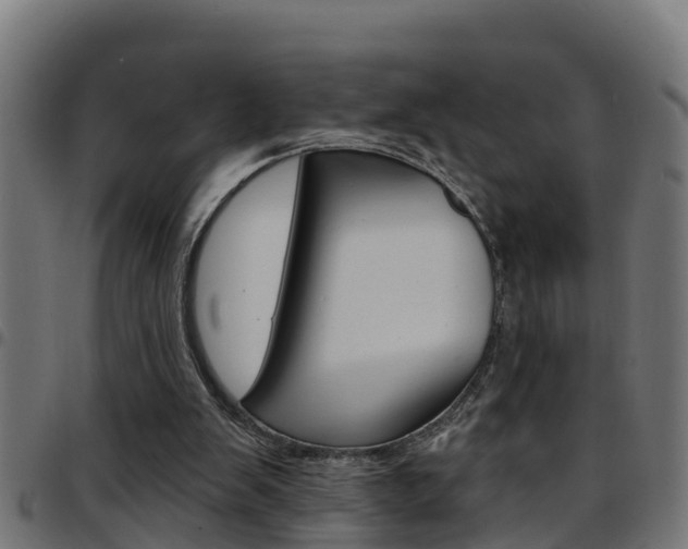 X0000097790103200803070944