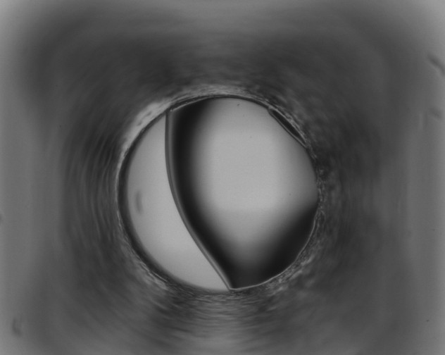 X0000097790104200803070944