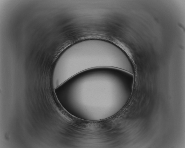 X0000097790105200803070944