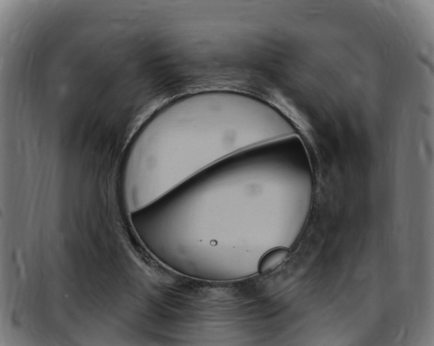 X0000097790107200803070944