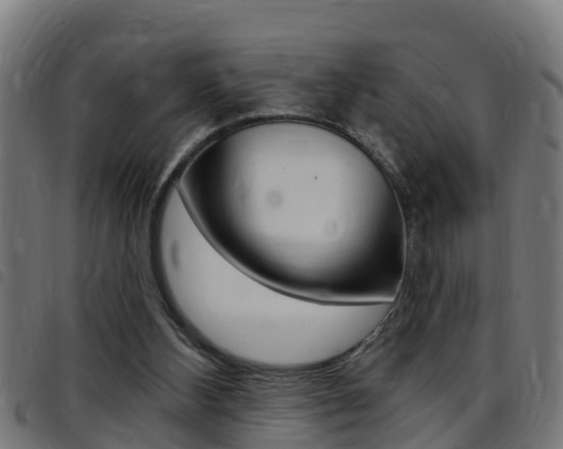 X0000097790108200803070944