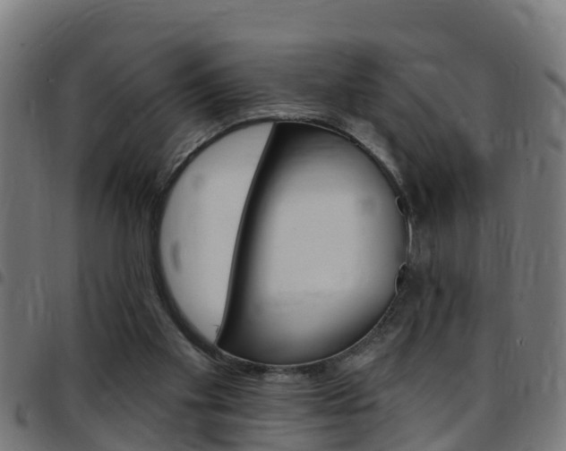 X0000097790109200803070944