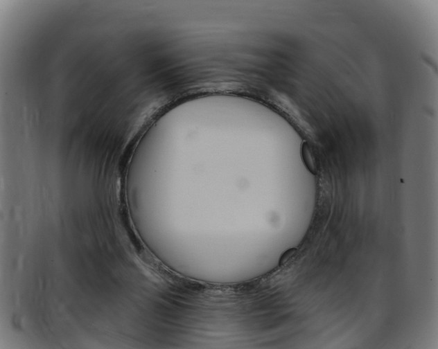 X0000097790110200803070944