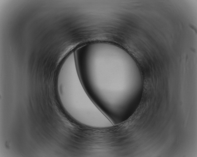X0000097790112200803070944