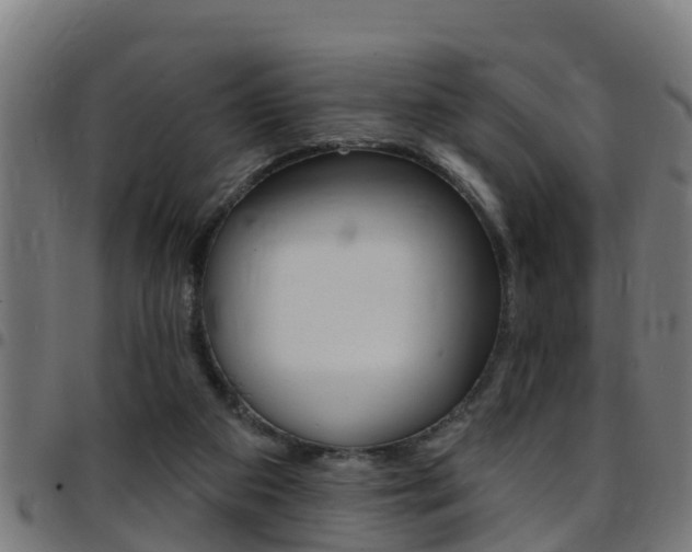 X0000097790113200803070944