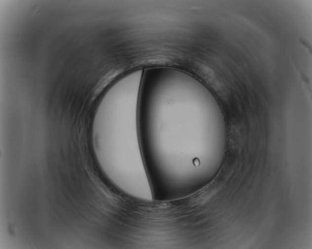 X0000097790116200803070944