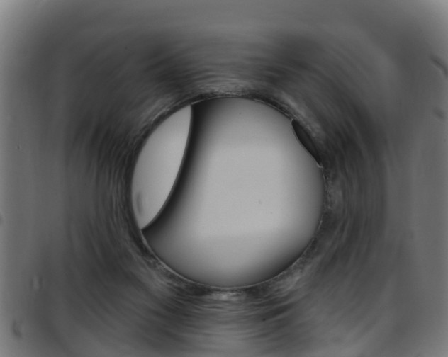 X0000097790117200803070944