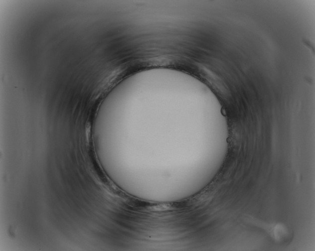 X0000097790118200803070944
