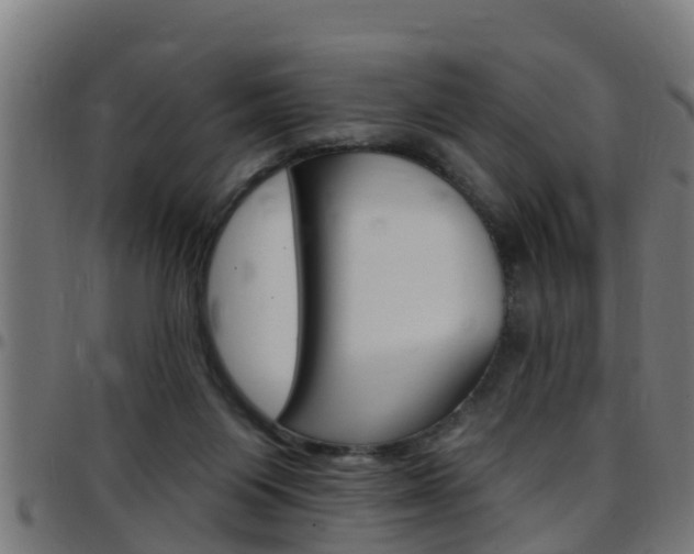 X0000097790119200803070944