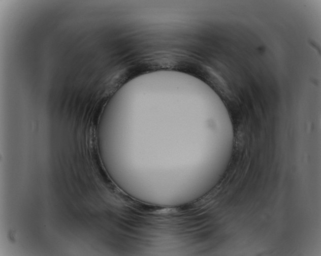 X0000097790122200803070944