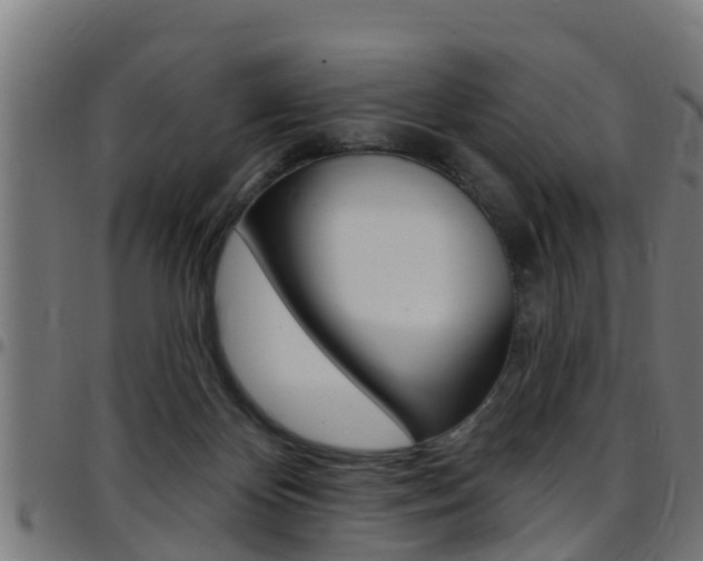 X0000097790124200803070944