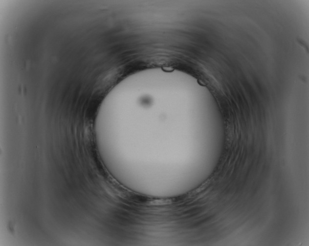 X0000097790126200803070944
