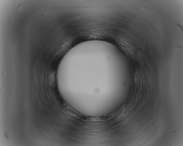 X0000097790127200803070944